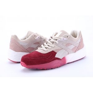 Puma R698 Winterized (002)