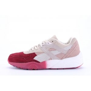 Puma R698 Winterized (002)