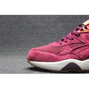 Puma R698 Winterized (003)