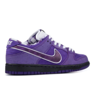 Concepts x Nike Dunk Low SB Purple Lobster Special Box 