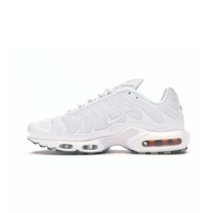 Кроссовки Nike Air Max Plus White