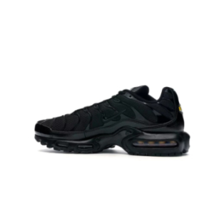 Кроссовки Nike Air Max Plus TRIPLE BLACK