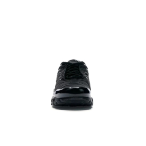 Кроссовки Nike Air Max Plus TRIPLE BLACK