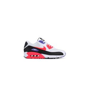 Кроссовки Nike Air Max 90 Essential Raptors