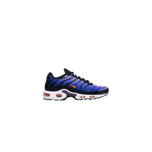 Кроссовки Nike Air Max Plus Purple